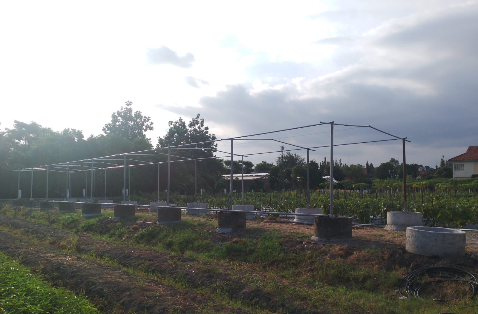 Fasilitas Greenhouse