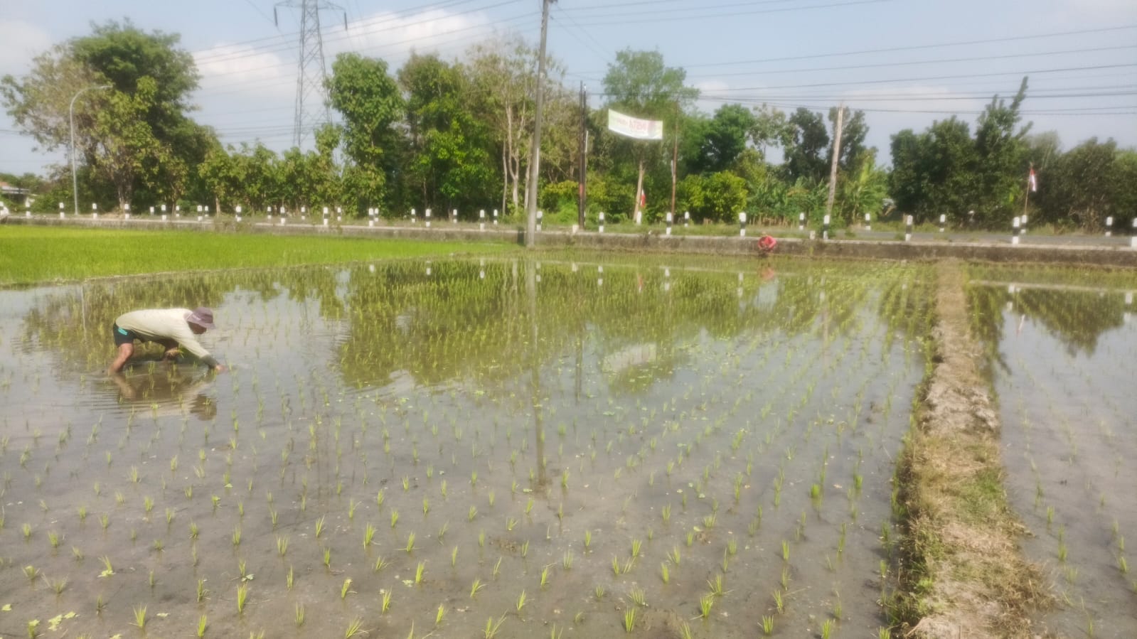 Lahan Produksi