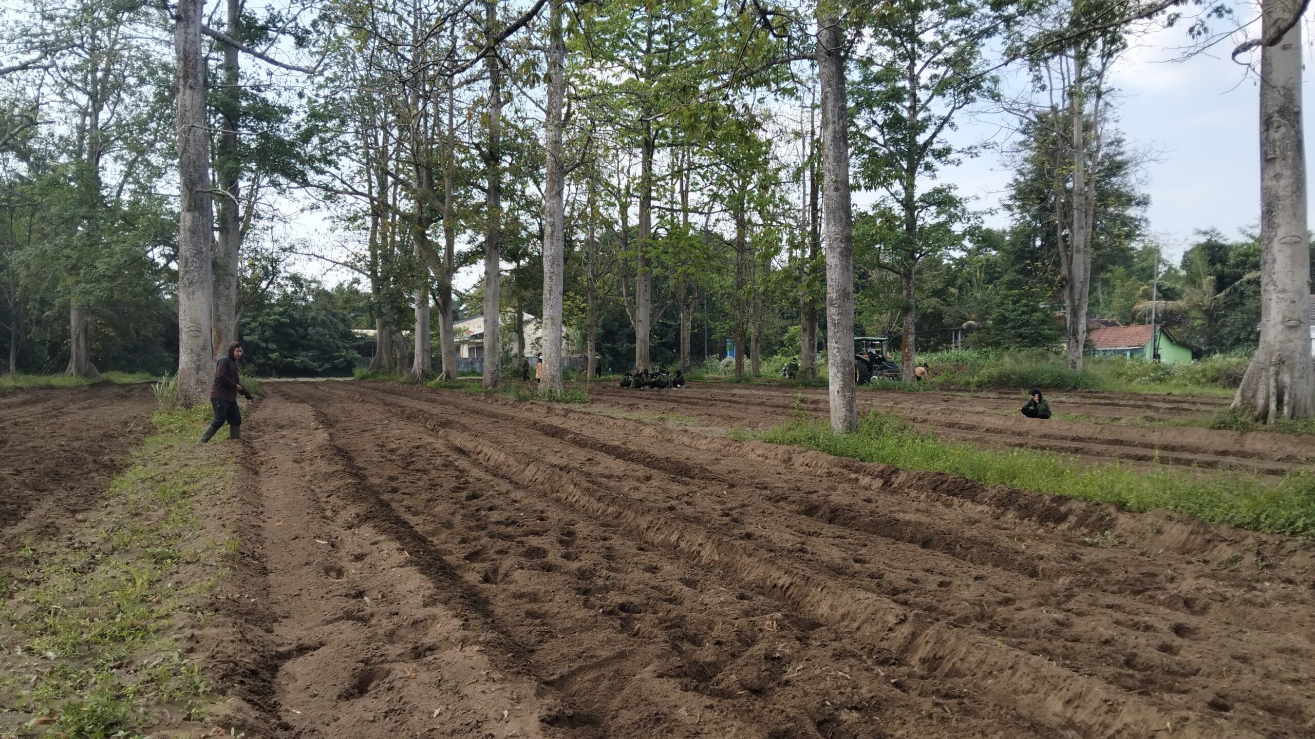 Lahan Randu